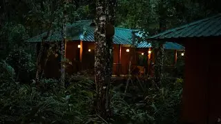 Monsoon Retreats | Thekkady, India | Hotel Review 🏩