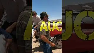2001 Chevy Truck  Vortec Engine Overview and Review