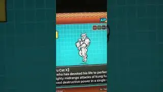 How to get Kung Fu Cat X