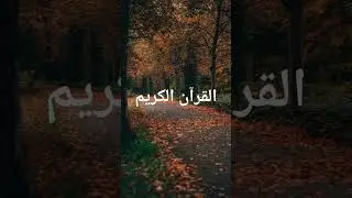 quran urdu translation only#quran #islamicstoriesinurduandhindi