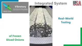 PROEX FOOD - Block Buster, Cluster Buster & Cross-Head Feeder Integration - Diced IQF Onions