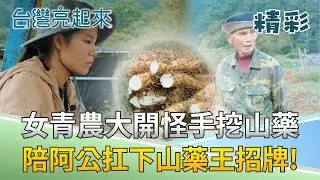 年輕女青農開怪手挖寶! 山藥公主返鄉大顯英姿! 阿公傳授