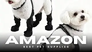 Waterproof Dog Boots 🥾🐾 | Protect Your Dog&rsquo;s Paws During Outdoor Adventures! | Non-slip & Reflective