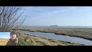Nature walk around my local patch