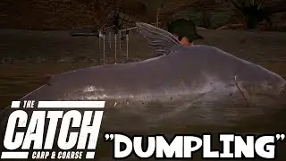 The Catch: Carp & Coarse - Mekong Catfish 