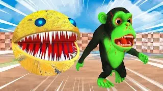 Monster Packman Run away From Funny Monkey Temple Run | Funny Monkey Bi Bi Collects Watermelons
