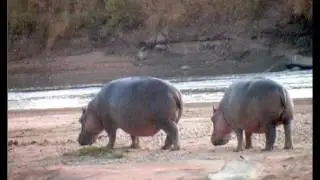 07 10  Morgenstimmung Ruaha NP Dia Show