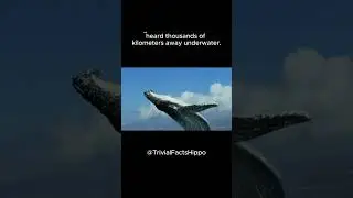 What are some mind blowing facts that sound unreal but true? - Part 2