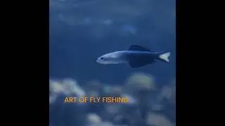 Ever tried lures that resemble the type of prey your target species feeds on