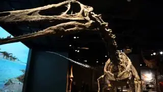 Ultimate Dinosaurs at the Science Museum of Minnesota