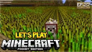 Let's Play Minecraft Pocket Edition 1.0.5 - My Back Garden Episode 27 (Pocket Edition)