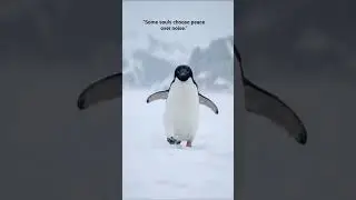 Loved the innocent penguin 🐧🌈#viralvideo #exploreit #animallovers #trending #anime #penguins