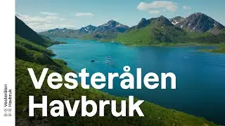 Vester&aring;len Havbruk