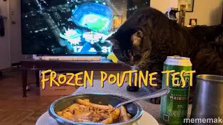 Frozen Shawarma Poutine!!!