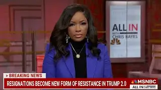 Rep. Crockett Slams Musk Takeover, ‘We Need Experts, Not Idiots!' | MSNBC Live Interview