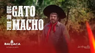 Pior do que Gato Macho - Baitaca