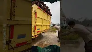 Air Mengucur Deras Dari Bak Truck Sawit #sawit #buah #pabrik #shrots