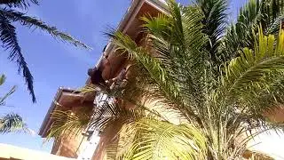 Jake cherry San Diego's best Windows 858-531-9537 power washing and cleaning gutters
