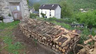 Bergua