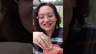 Pellet, Crumble, and Mash Chicken Feed Differences