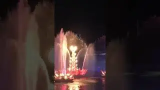Animal Kingdom Rivers of Light | Disney World | Orlando, Florida