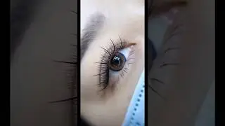 #lashbeauty #kimklashes #volumelash #lashextensions #eyelashesonfleek #premadefans #lasheducation