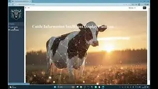 Cattle Information Intelligent Display Platform