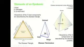 Plant Disease Triangle, Disease Tetrahedron and Disease Pyramid, Disease epidemiology