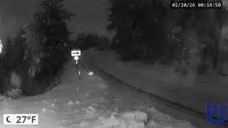 Hwy 243 located between Pine Cove and Idyllwild Ca. Streaming Live from Pine Cove MWD!