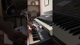 سنتين وانا احايل فيك - ليلى مراد/رؤوف ذهني Cover