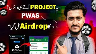 HOW iS PAWS AIRDROP||Ap is project per Working Or Task Complete kesy krny Hen||Crypto With Habib
