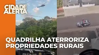 Operação policial mira em quadrilha que aterroriza propriedades rurais furtando gado, no PR