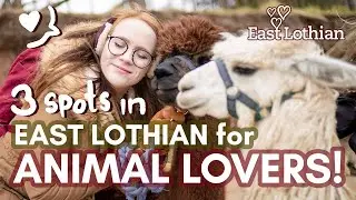 3 Amazing places for ANIMAL LOVERS in EAST LOTHIAN - day trips from Edinburgh!