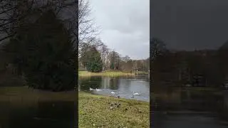 Exploring Antwerpen: Stadspark