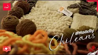 Made by Chileans - Witral | Marca Chile