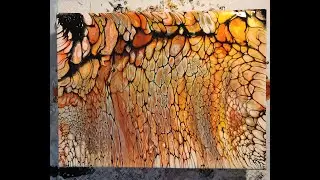 #70 - Shelee Swipe animal print