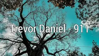 Trevor Daniel - 911 Lyrics!