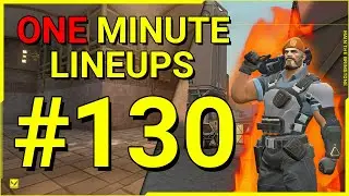 One minute lineups #130 | Bind 😎#shorts #molly #bind