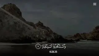 آيات من سورة نوح { قال رب دعوت قومى ليلا و نهارا } [ ماهر المعيقلي ] #المصحف #راحة_نفسية #قران_كريم 