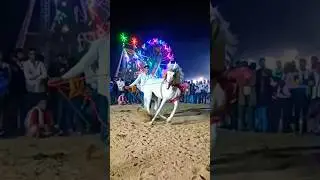 Horse's snake dance #indianhorse #dance #horse #viral