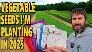 How To Choose the BEST Seeds For Your Vegetable Garden and Where You Should Buy Them!