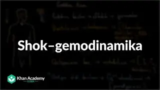 Shok – gemodinamika | Shok | Tibbiyot