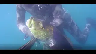 recordando lances por el cantábrico 1, pesca submarina, spearfishing