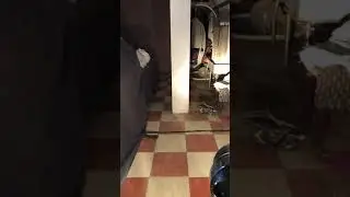 Chep hid vs philips 55wt halogen