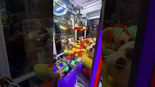 These are some weird Claw Machine Prizes!