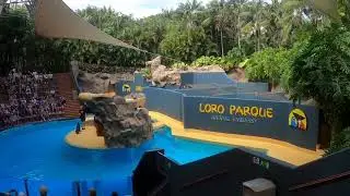 Jason & Cindy's Honeymoon in Tenerife May 2024