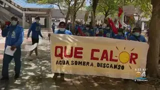 South Florida Workers Participate In May Day Rally To Demand Better Wages