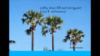 laa hiru madala pipi thal gaha mudune ලාහිරු මඩල පිපී තල්ගහ මුදුනේ ඒ එල් බී කන්දෙපොල A.L.B.Kandepola