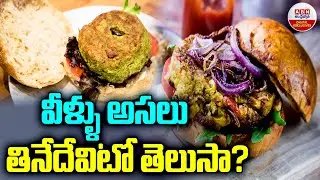 Mosquito Burgers in Africa : వీళ్ళు అసలు తినేదేవిటో తెలుసా? | ABN Digital Exclusives
