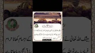 Ap ( $ ) ka farman ||#WriterAsadVeer #islamicshorts #islamicstatus #shortvideo #shorts #shortviral